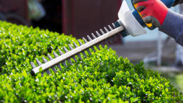 Trimming