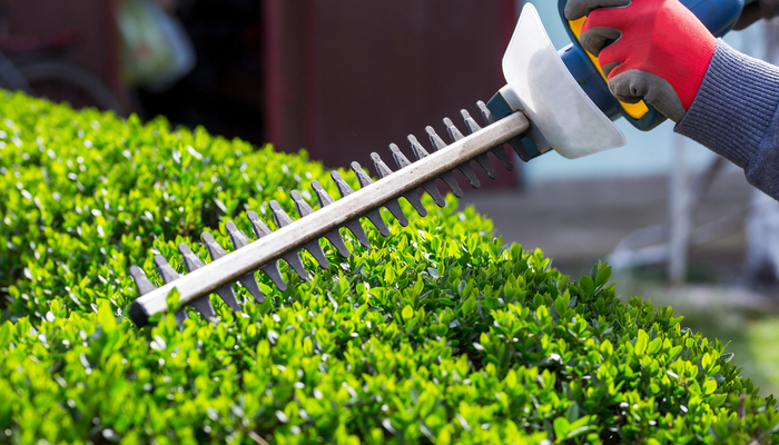 Trimming